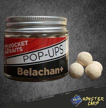 Бойли Pop-Up "Belachan" &Oslash;10мм Rt-1302 фото